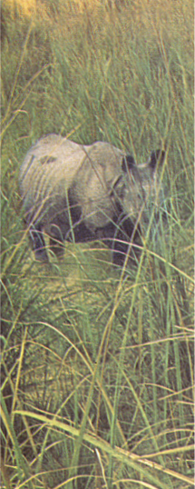 First wildlife trek into the Gatlang Valley in Nepal