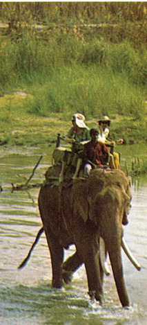 L. Martin Griffin MD