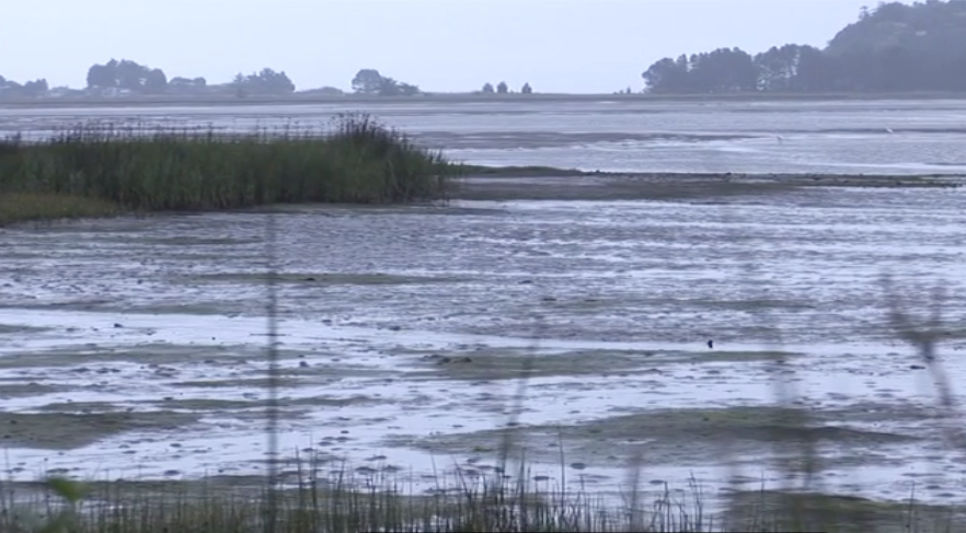 Defender of Paradise